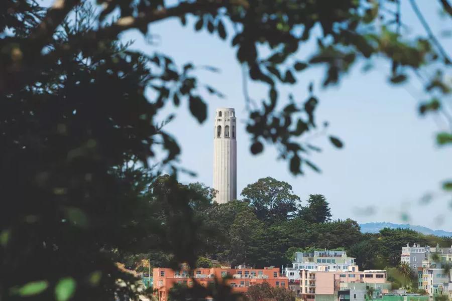 贝博体彩app's Coit Tower, framed by trees in the foreground.